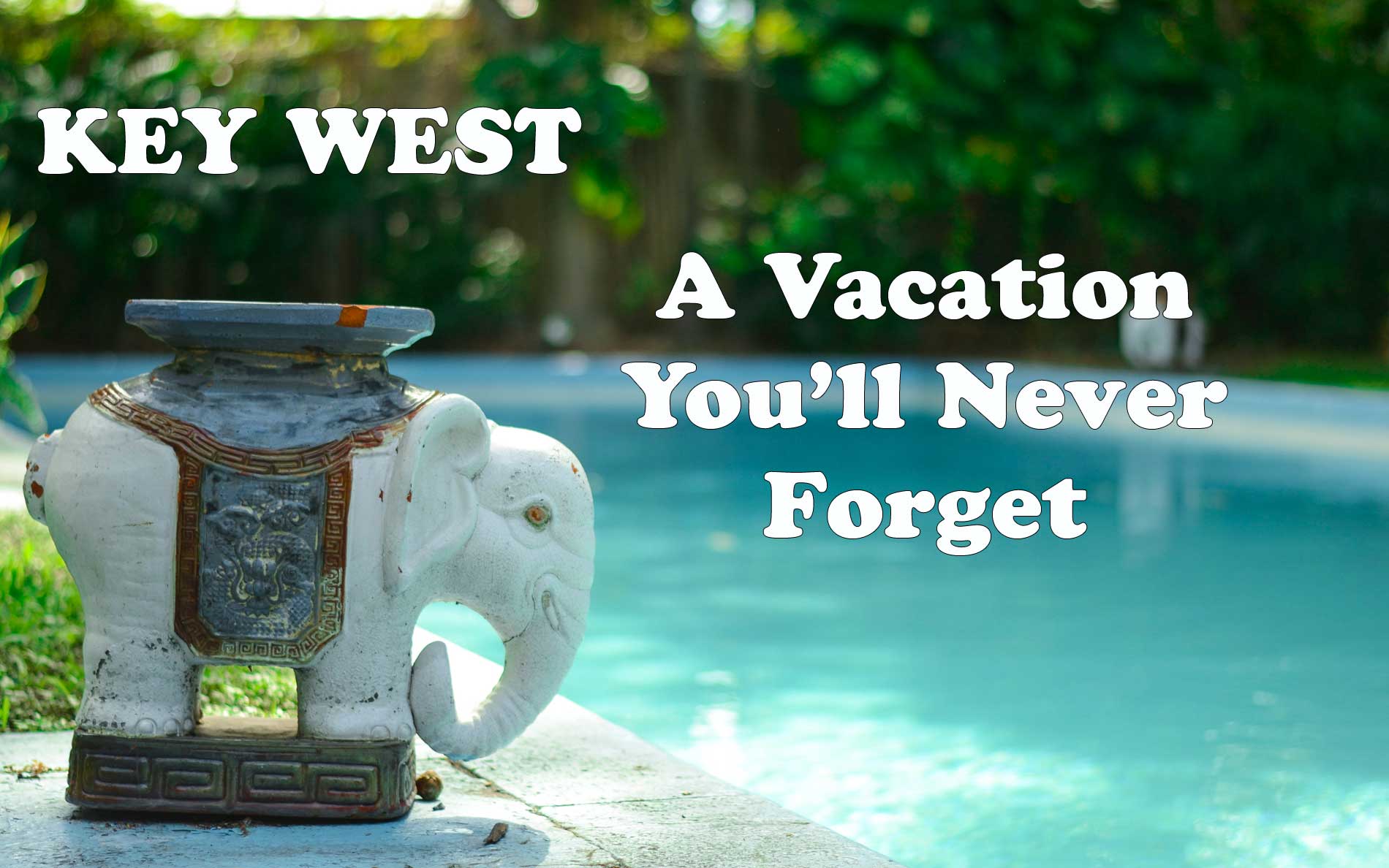 A Vacation You'll Never Forget